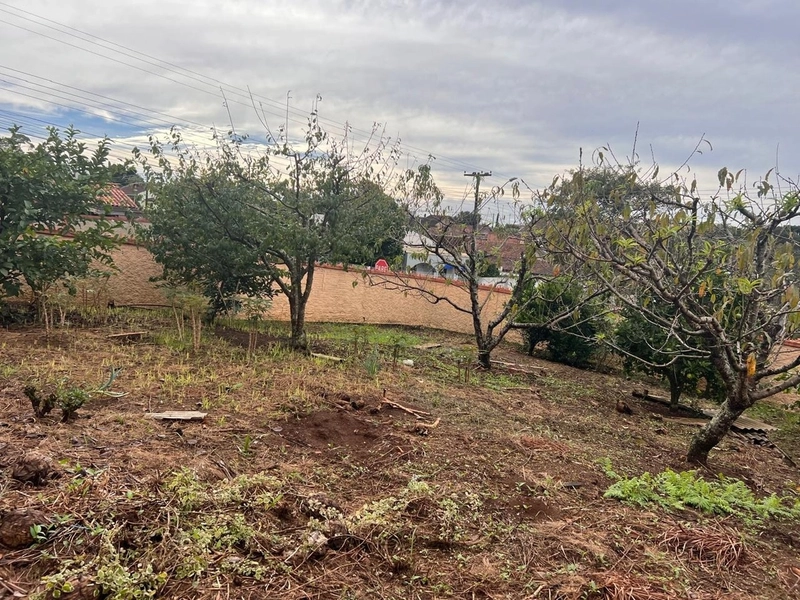 Terreno de Esquina 389m² Próximo ao Parque – Vista Deslumbrante!: 4ª foto da galeria de imagens do imóvel