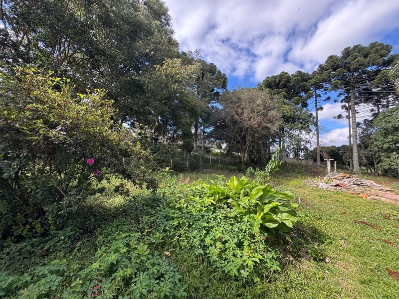 Terreno amplo e plano em excelente localização de Campo Largo!: 3ª foto da galeria de imagens do imóvel