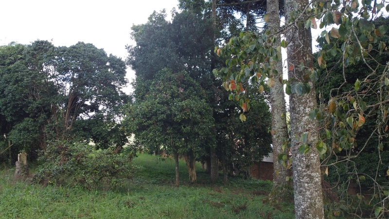 Terreno amplo e plano em excelente localização de Campo Largo!: 14ª foto da galeria de imagens do imóvel