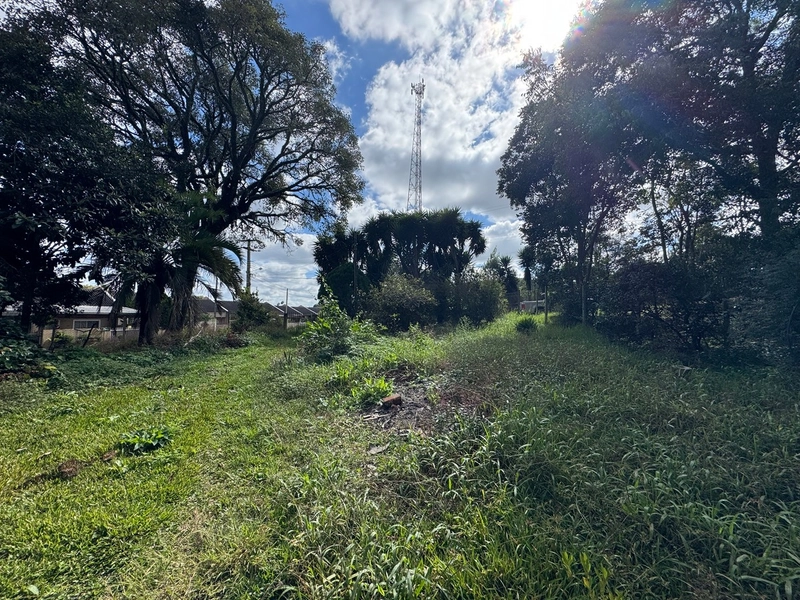 Terreno amplo e plano em excelente localização de Campo Largo!: 4ª foto da galeria de imagens do imóvel