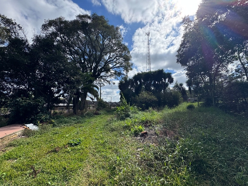 Terreno amplo e plano em excelente localização de Campo Largo!: 13ª foto da galeria de imagens do imóvel