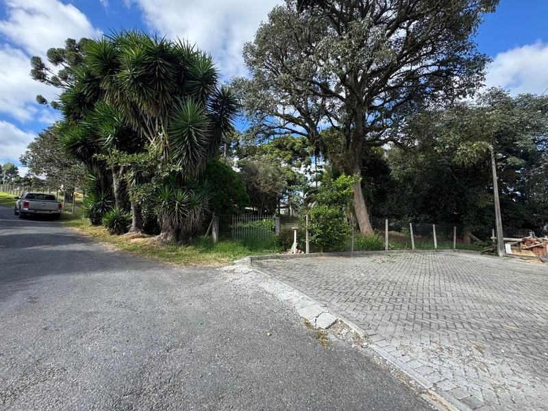 Terreno amplo e plano em excelente localização de Campo Largo!: 11ª foto da galeria de imagens do imóvel