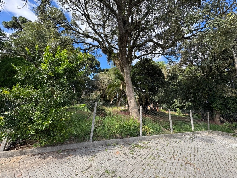 Terreno amplo e plano em excelente localização de Campo Largo!: 12ª foto da galeria de imagens do imóvel
