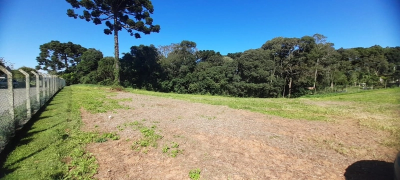 Lindo terreno para chacara de moradia ou lazer: 9ª foto da galeria de imagens do imóvel