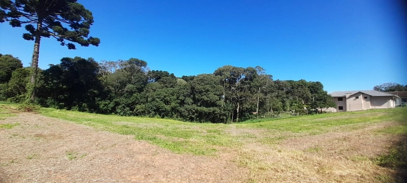Lindo terreno para chacara de moradia ou lazer: 10ª foto da galeria de imagens do imóvel