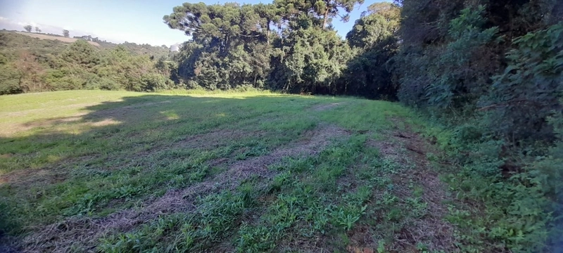 Lindo terreno para chacara de moradia ou lazer: 2ª foto da galeria de imagens do imóvel