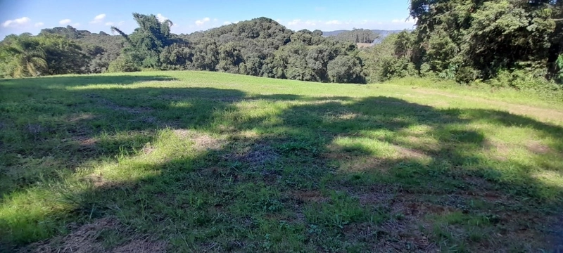 Lindo terreno para chacara de moradia ou lazer: 6ª foto da galeria de imagens do imóvel