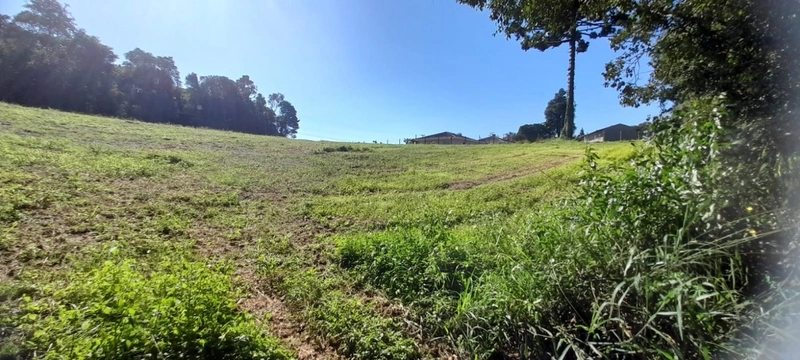 Lindo terreno para chacara de moradia ou lazer: 1ª foto da galeria de imagens do imóvel