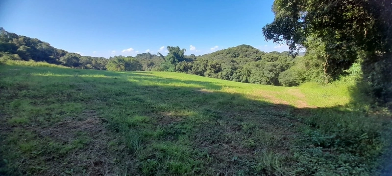 Lindo terreno para chacara de moradia ou lazer: 5ª foto da galeria de imagens do imóvel