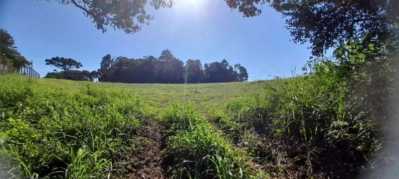 Lindo terreno para chacara de moradia ou lazer: 3ª foto da galeria de imagens do imóvel