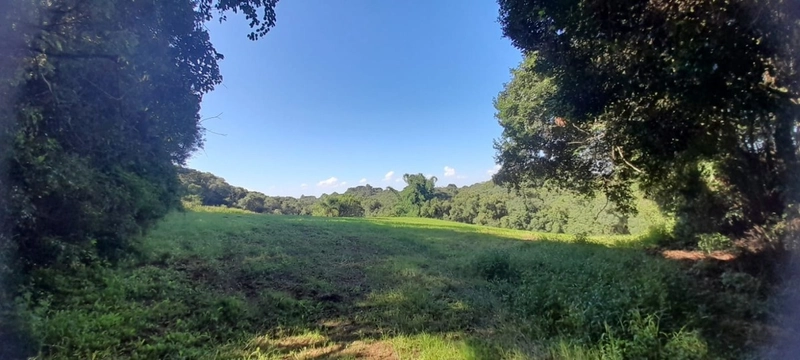 Lindo terreno para chacara de moradia ou lazer: 7ª foto da galeria de imagens do imóvel