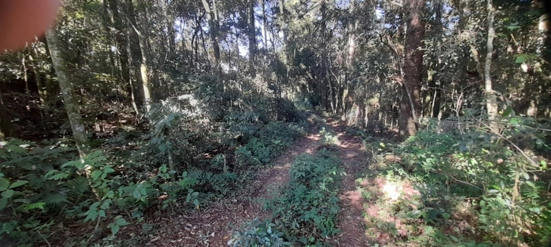 Lindo terreno para chacara de moradia ou lazer: 8ª foto da galeria de imagens do imóvel
