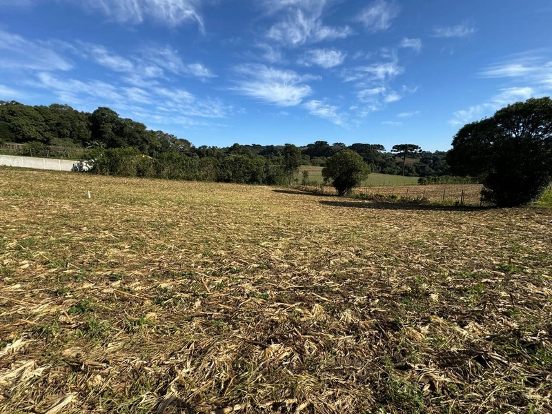 TERRENO DOS SEUS SONHOS EM LOCALIZAÇÃO PRIVELIGIADA: 6ª foto da galeria de imagens do imóvel