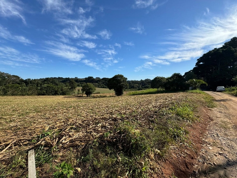 TERRENO DOS SEUS SONHOS EM LOCALIZAÇÃO PRIVELIGIADA: 8ª foto da galeria de imagens do imóvel
