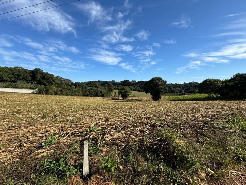 TERRENO DOS SEUS SONHOS EM LOCALIZAÇÃO PRIVELIGIADA: 7ª foto da galeria de imagens do imóvel