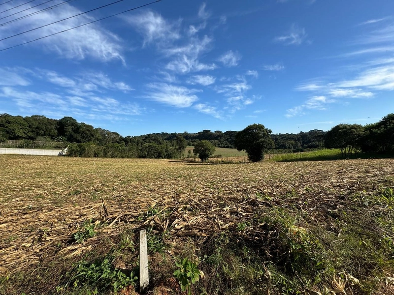 TERRENO DOS SEUS SONHOS EM LOCALIZAÇÃO PRIVELIGIADA: 9ª foto da galeria de imagens do imóvel