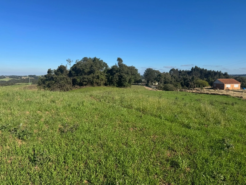 Chácara com vista de cinema a 10 min do centro de Campo Largo!: 14ª foto da galeria de imagens do imóvel