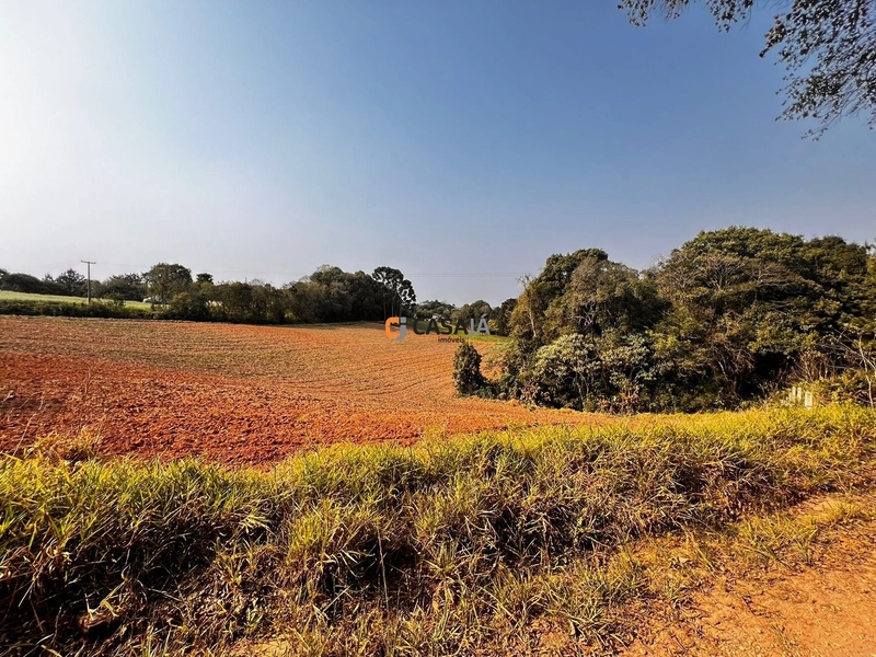 Terreno para Formação de Chácara Próximo ao Centro de Campo Largo: 14ª foto da galeria de imagens do imóvel