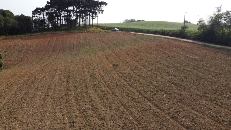 Terreno para Formação de Chácara Próximo ao Centro de Campo Largo: 9ª foto da galeria de imagens do imóvel