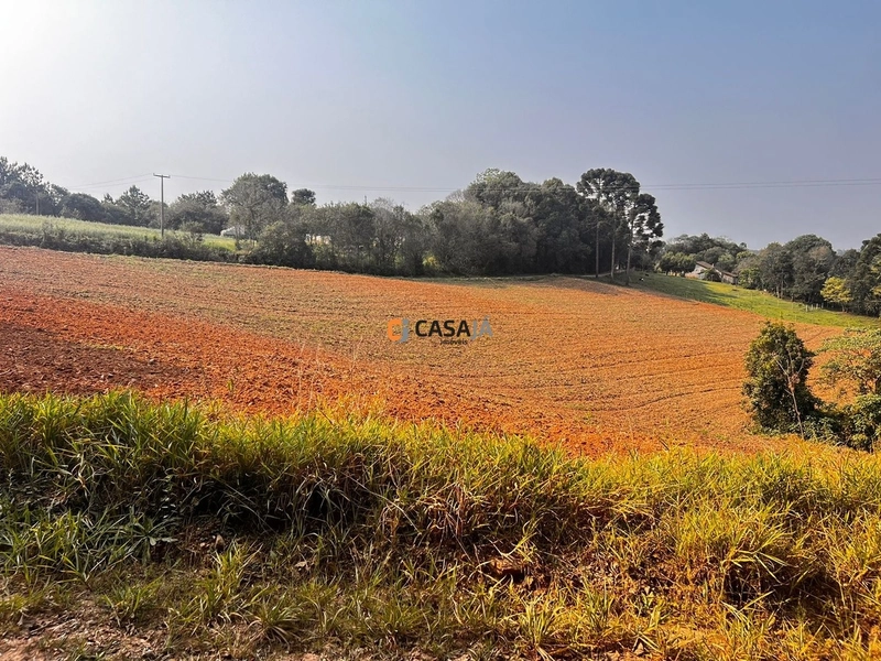 Terreno para Formação de Chácara Próximo ao Centro de Campo Largo: 16ª foto da galeria de imagens do imóvel