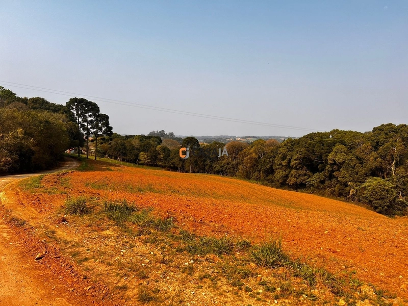 Terreno para Formação de Chácara Próximo ao Centro de Campo Largo: 10ª foto da galeria de imagens do imóvel