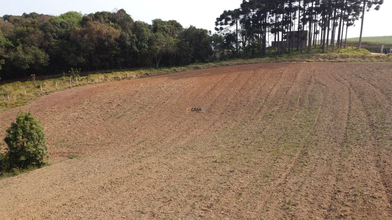 Terreno para Formação de Chácara Próximo ao Centro de Campo Largo: 3ª foto da galeria de imagens do imóvel