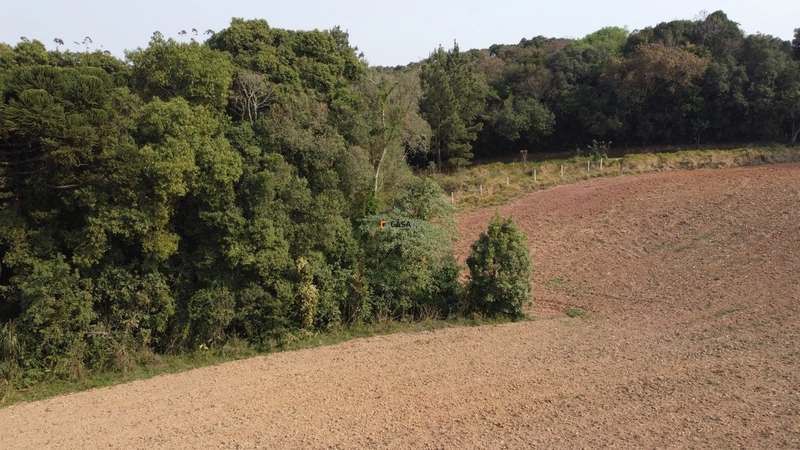 Terreno para Formação de Chácara Próximo ao Centro de Campo Largo: 4ª foto da galeria de imagens do imóvel