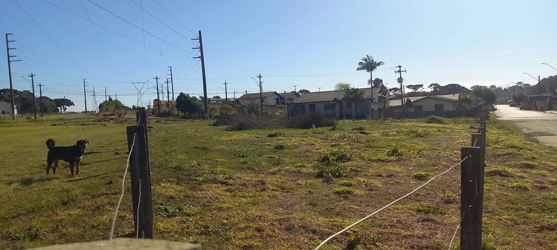 Terreno à venda no São Gerônimo!: 5ª foto da galeria de imagens do imóvel