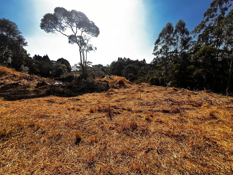 Terreno de 10.000,00 m2 de área disponível para venda!: 10ª foto da galeria de imagens do imóvel