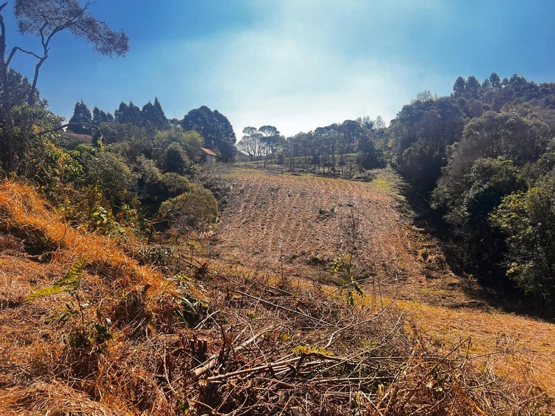 Terreno de 10.000,00 m2 de área disponível para venda!: 8ª foto da galeria de imagens do imóvel