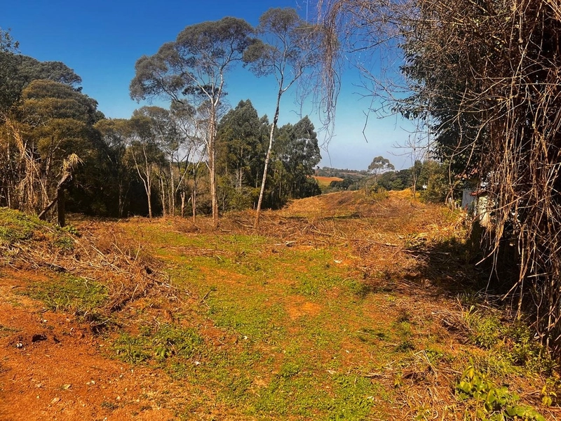 Terreno de 10.000,00 m2 de área disponível para venda!: 3ª foto da galeria de imagens do imóvel