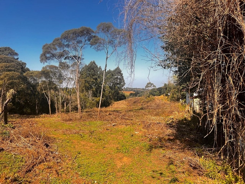 Terreno de 10.000,00 m2 de área disponível para venda!: 2ª foto da galeria de imagens do imóvel