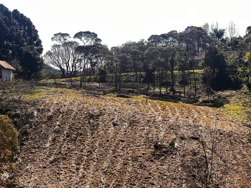 Terreno de 10.000,00 m2 de área disponível para venda!: 6ª foto da galeria de imagens do imóvel