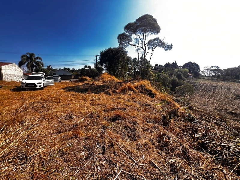 Terreno de 10.000,00 m2 de área disponível para venda!: 5ª foto da galeria de imagens do imóvel