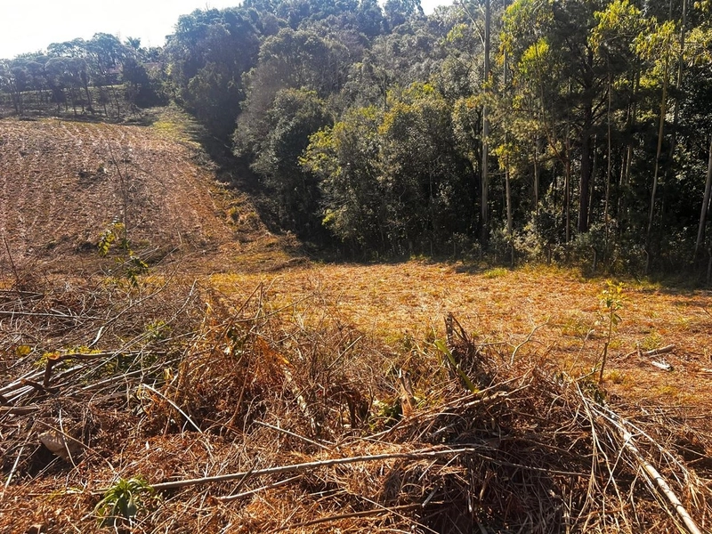 Terreno de 10.000,00 m2 de área disponível para venda!: 7ª foto da galeria de imagens do imóvel