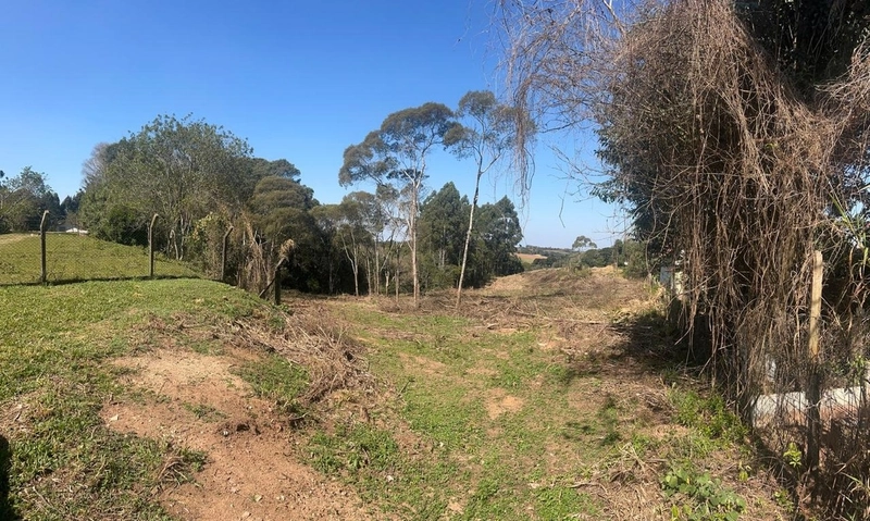 Terreno de 10.000,00 m2 de área disponível para venda!: 9ª foto da galeria de imagens do imóvel