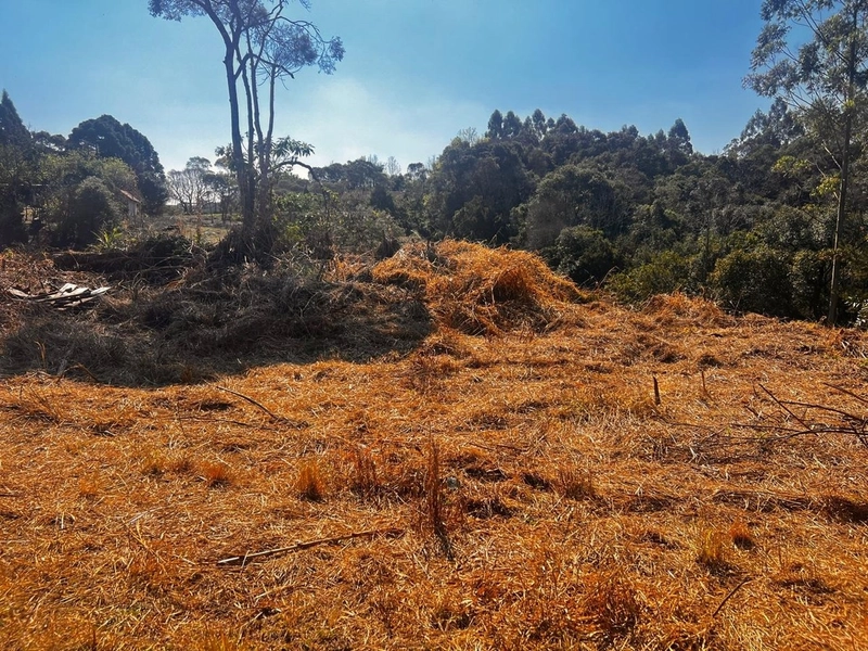 Terreno de 10.000,00 m2 de área disponível para venda!: 4ª foto da galeria de imagens do imóvel