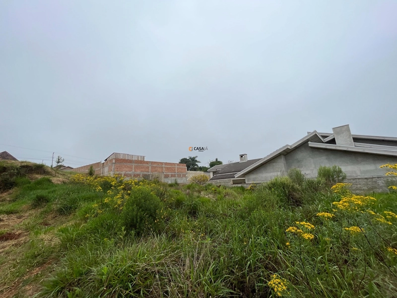 Terreno de 605m² no Centro de Balsa Nova – Excelente Oportunidade!: 8ª foto da galeria de imagens do imóvel
