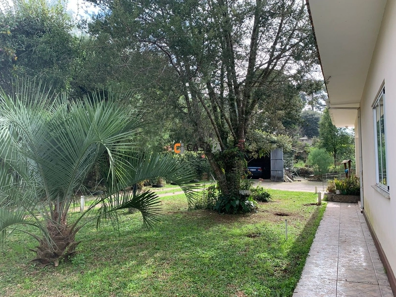 Casa Espaçosa, Terreno Grande Centro de Balsa Nova-PR: 13ª foto da galeria de imagens do imóvel
