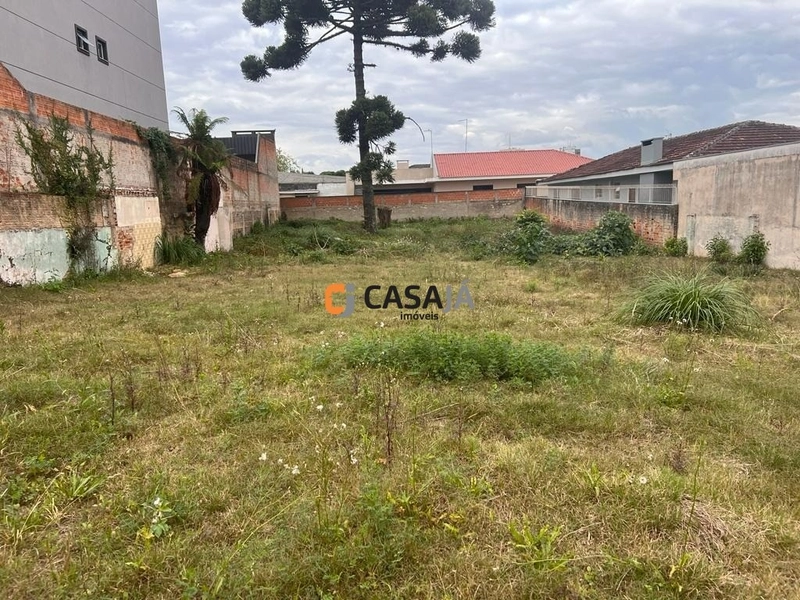 Viva com tranquilidade e espaço em um terreno de 800m² à venda!: 4ª foto da galeria de imagens do imóvel
