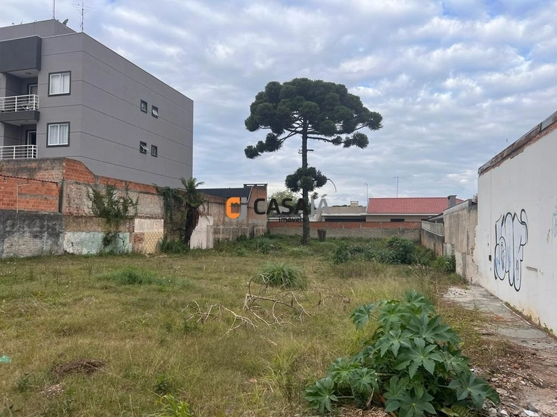 Viva com tranquilidade e espaço em um terreno de 800m² à venda!: 7ª foto da galeria de imagens do imóvel