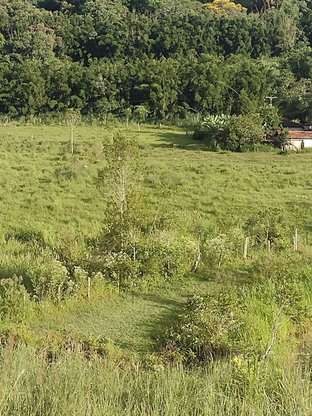 Propriedade espetacular de 25,85 hectares com alto potencial produtivo e logística privilegiada! Aproximadamente 180.000 m² de área aberta em pastagem, com nascente própria e boa infraestrutura para pecuária. A área fica na divisa entre Jacupiranga e Cajati, oferece equilíbrio perfeito entre recursos naturais e fácil acesso à BR-116. O investimento ideal para quem busca escala, produtividade e a segurança de uma terra rica em água e pronta para trabalhar!: 5ª foto da galeria de imagens do imóvel