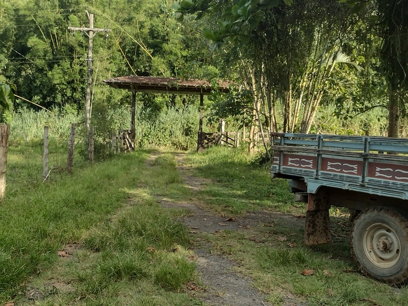 Propriedade espetacular de 25,85 hectares com alto potencial produtivo e logística privilegiada! Aproximadamente 180.000 m² de área aberta em pastagem, com nascente própria e boa infraestrutura para pecuária. A área fica na divisa entre Jacupiranga e Cajati, oferece equilíbrio perfeito entre recursos naturais e fácil acesso à BR-116. O investimento ideal para quem busca escala, produtividade e a segurança de uma terra rica em água e pronta para trabalhar!: 11ª foto da galeria de imagens do imóvel