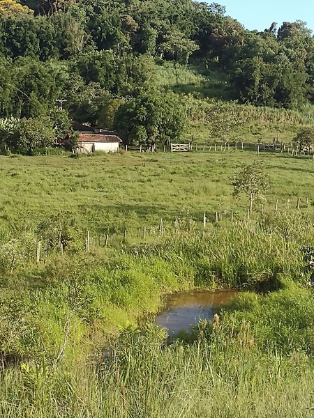 Propriedade espetacular de 25,85 hectares com alto potencial produtivo e logística privilegiada! Aproximadamente 180.000 m² de área aberta em pastagem, com nascente própria e boa infraestrutura para pecuária. A área fica na divisa entre Jacupiranga e Cajati, oferece equilíbrio perfeito entre recursos naturais e fácil acesso à BR-116. O investimento ideal para quem busca escala, produtividade e a segurança de uma terra rica em água e pronta para trabalhar!: 9ª foto da galeria de imagens do imóvel