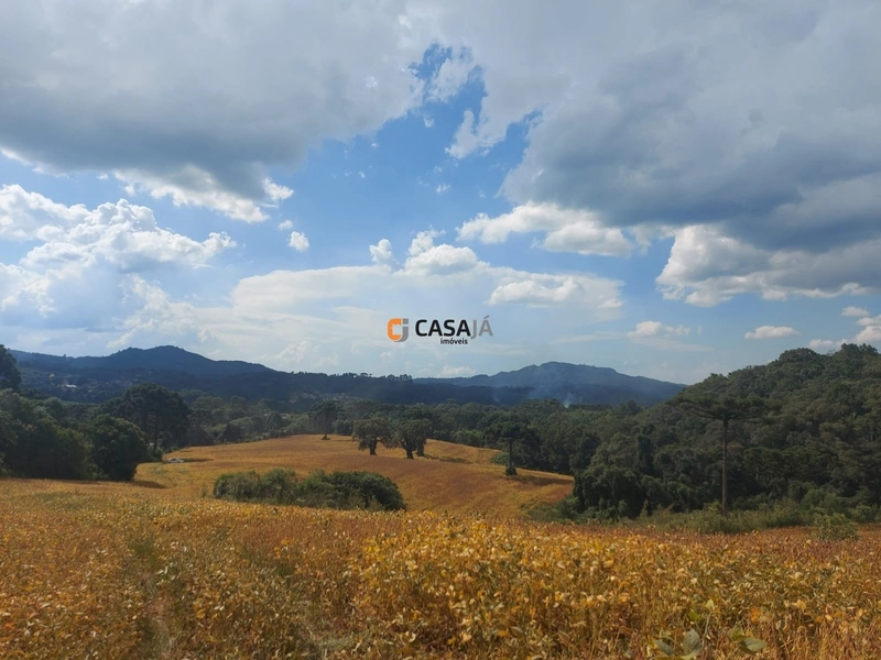 Terreno de 8 Alqueires em Bateias: Natureza, Produtividade e Tranquili: 18ª foto da galeria de imagens do imóvel
