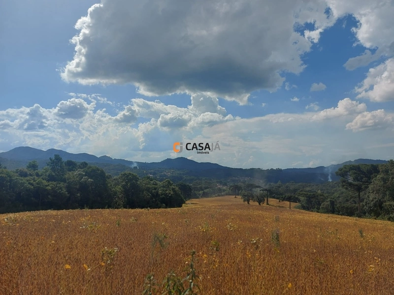 Terreno de 8 Alqueires em Bateias: Natureza, Produtividade e Tranquili: 10ª foto da galeria de imagens do imóvel