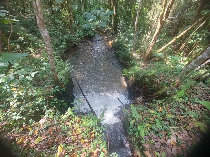 Terreno de 8 Alqueires em Bateias: Natureza, Produtividade e Tranquili: 16ª foto da galeria de imagens do imóvel