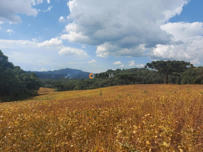 Terreno de 8 Alqueires em Bateias: Natureza, Produtividade e Tranquili: 8ª foto da galeria de imagens do imóvel