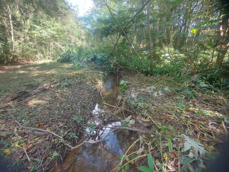 Terreno de 8 Alqueires em Bateias: Natureza, Produtividade e Tranquili: 17ª foto da galeria de imagens do imóvel