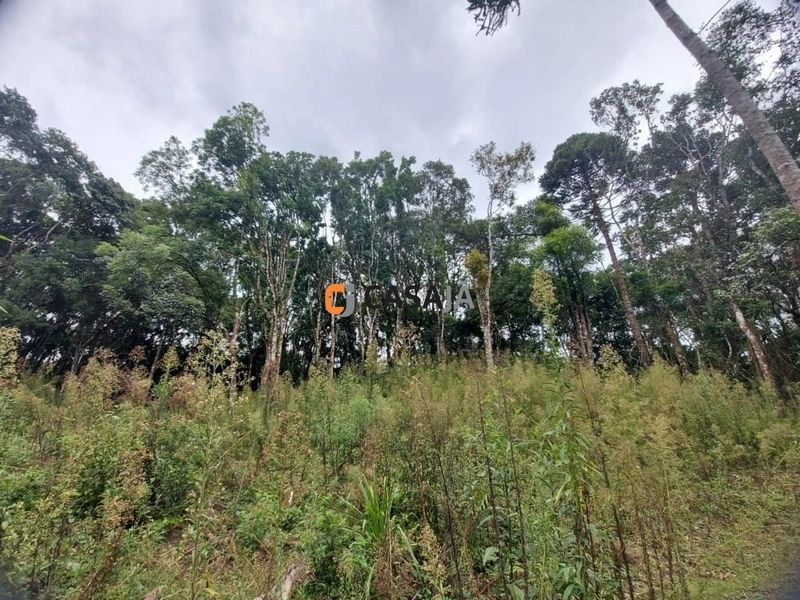 Viva no Paraíso! Chácara de 24.200m² com Rio e Vista Incrível!: 22ª foto da galeria de imagens do imóvel